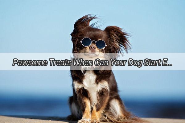 Pawsome Treats When Can Your Dog Start Enjoying Pears